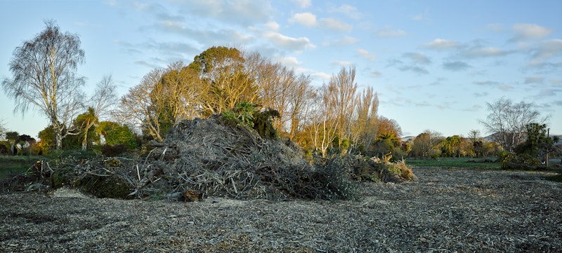 Tim J. Veling, Non-indigenous plants and domestic greenery cleared from the Avonside Residential Red Zone, Keller Street, Christchurch, 2015 from Vestiges