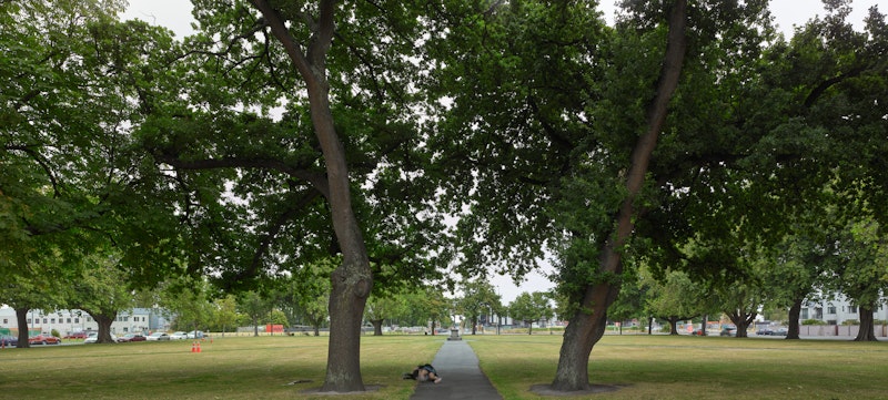 Latimer Square, 2016.