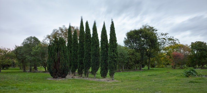 Burwood Residential Red Zone, 2016.