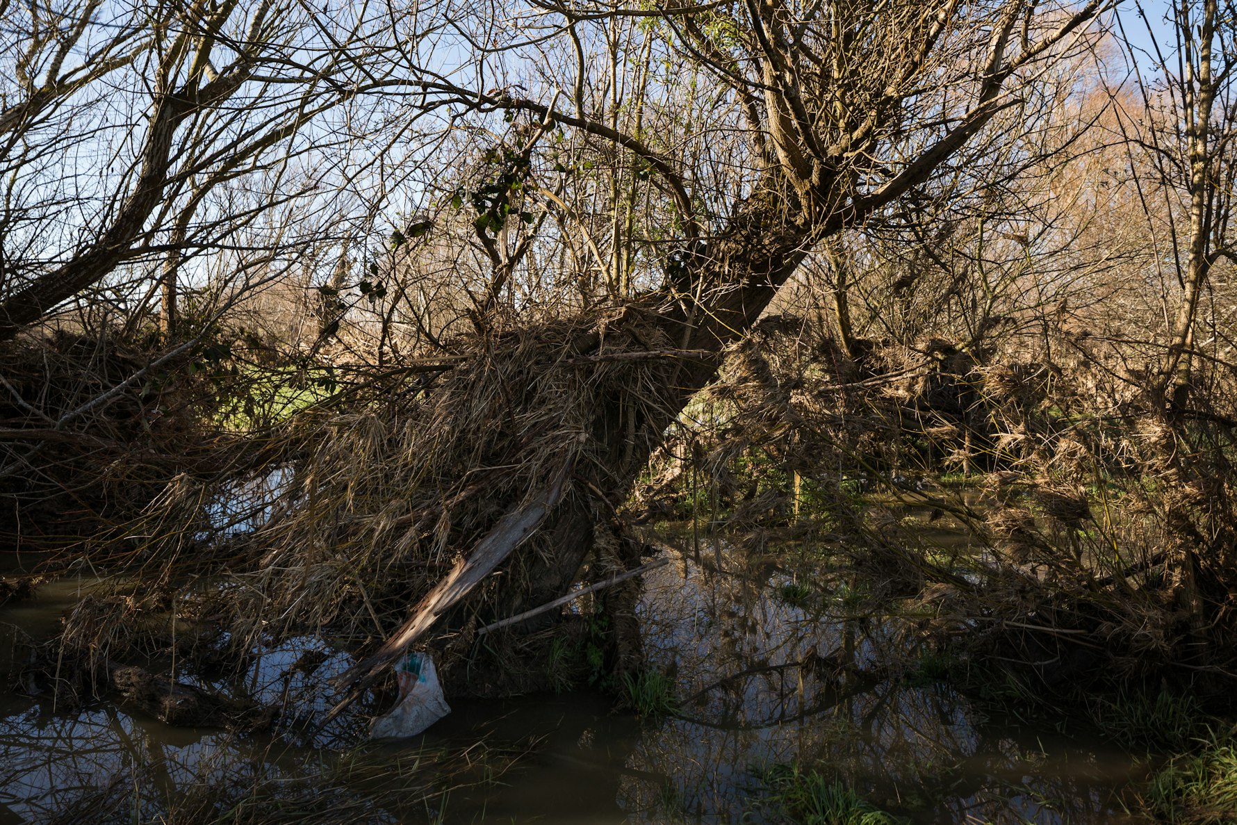 Litter After Flood, Coes Ford