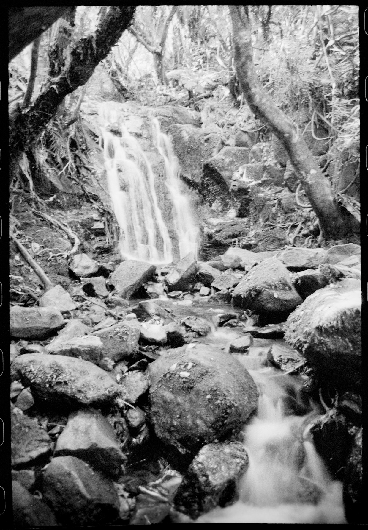 Hinewai falls