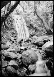 The landscape works in harmony, absorbing and releasing rain water, her rivers never run dry even when surrounding barren land is drought-stricken.