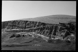 The landscape on the drive out to Hinewai Forest is fairly denuded of its original covering and eroding in parts.